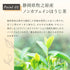 檸檬草 x Hojicha 茶包 2.5g x 35p